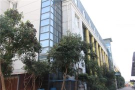 फॅक्टरी शो